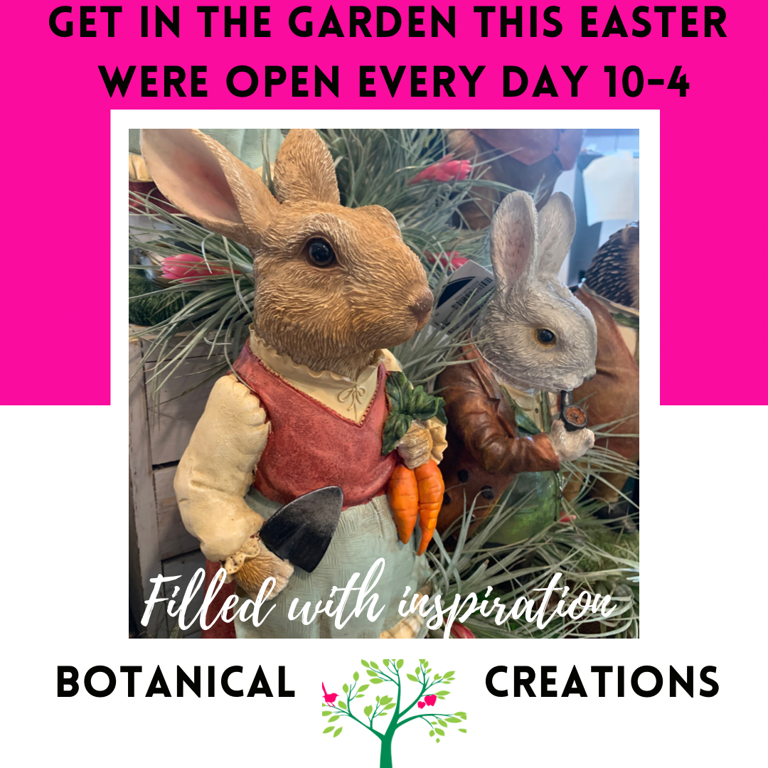 Autumn Tones Foliage & Intriguing Indoors