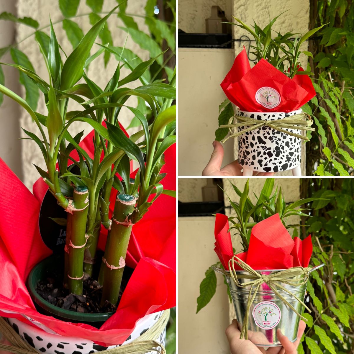 Make an IMPACT This Christmas!