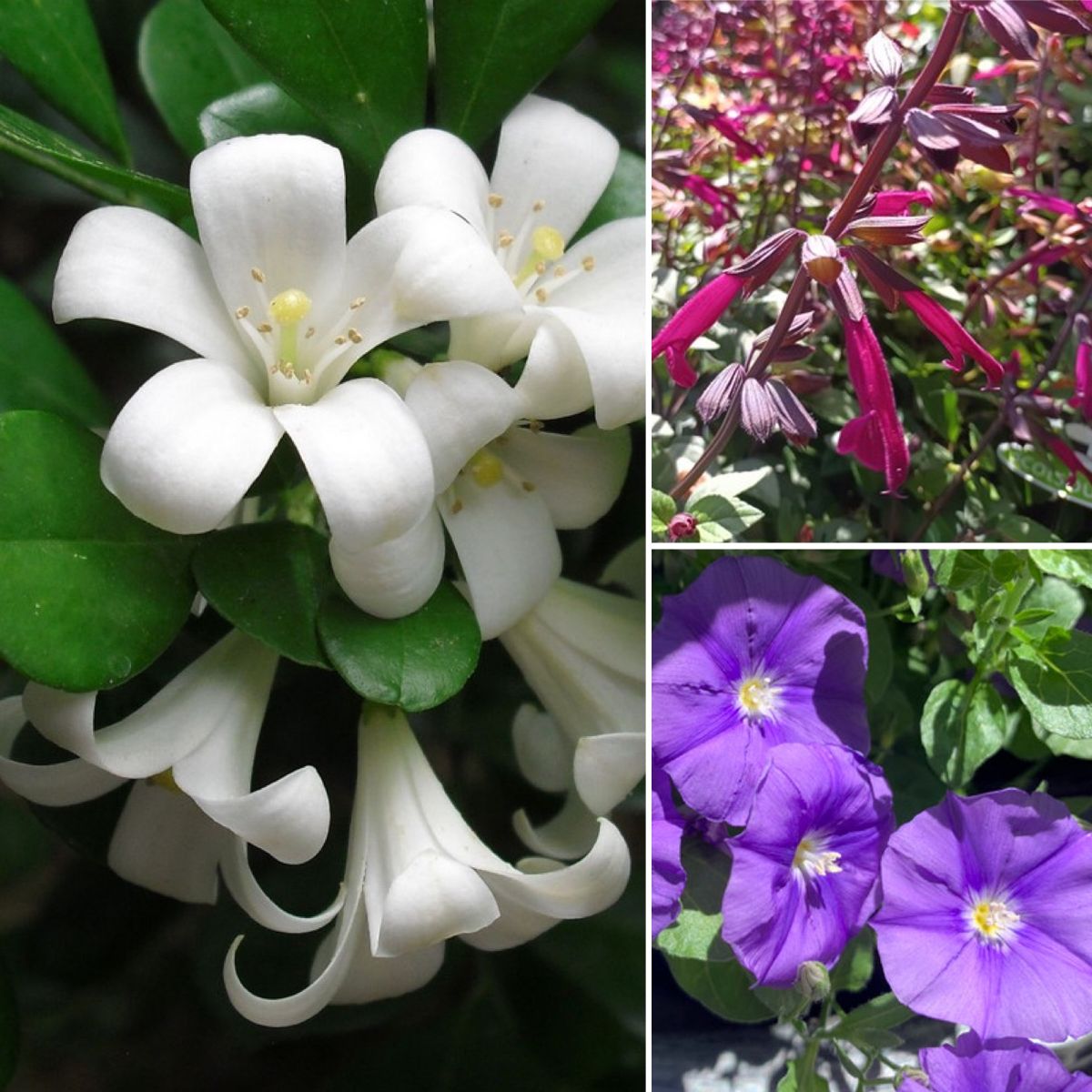 We Love Valentine's Day! Gifts To Go From $19.99