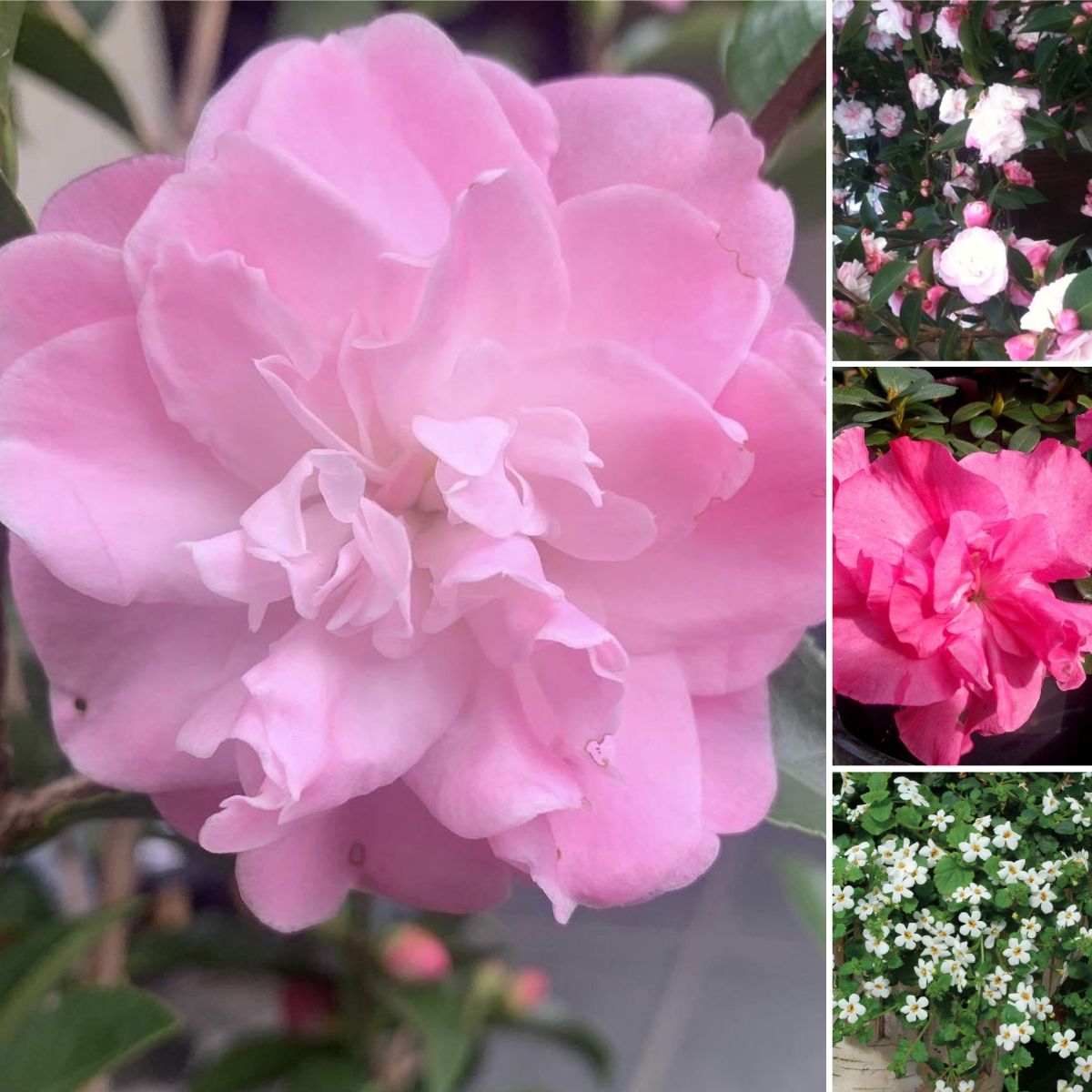 Autumn & Winter WOW!