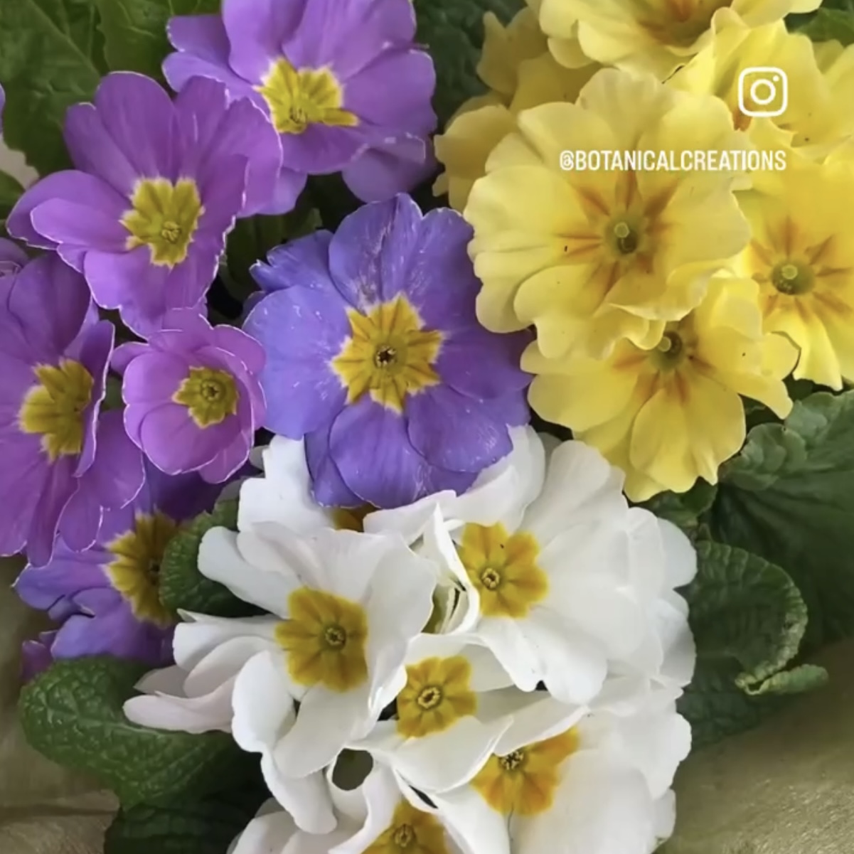 WINTER WONDERS + 30-50% OFF HUGE RANGE