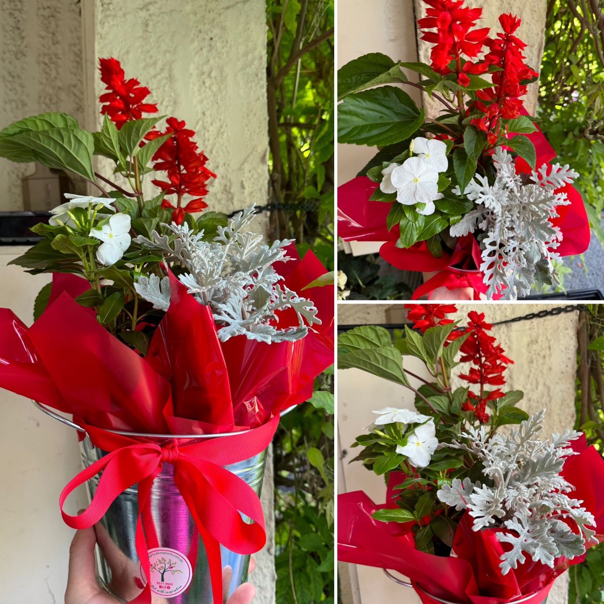 LAST MINUTE GIFTS THAT GROW