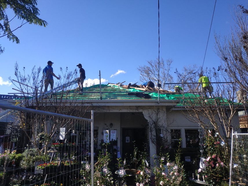 BARE ROOT ROSES JUST ARRIVED