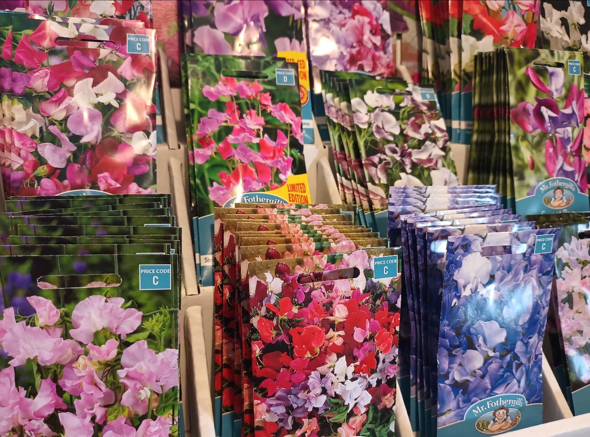 GET IN THE GARDEN! HAPPY HIBISCUS & LUSH LIME