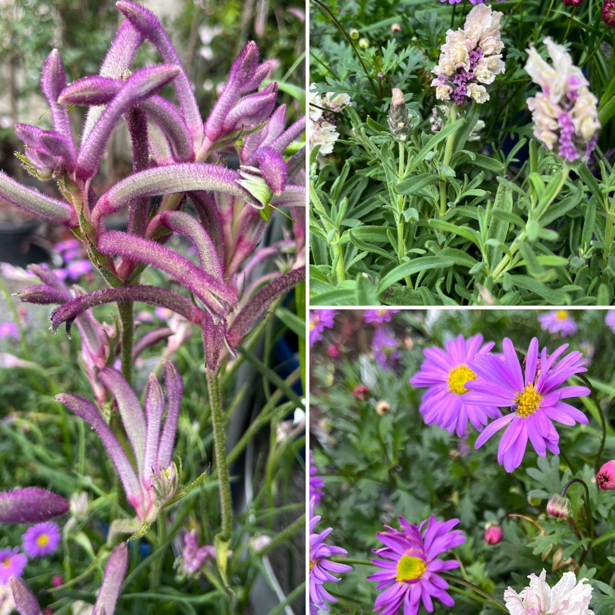 FANTASTIC FATHER'S DAY GIFTS2GO!