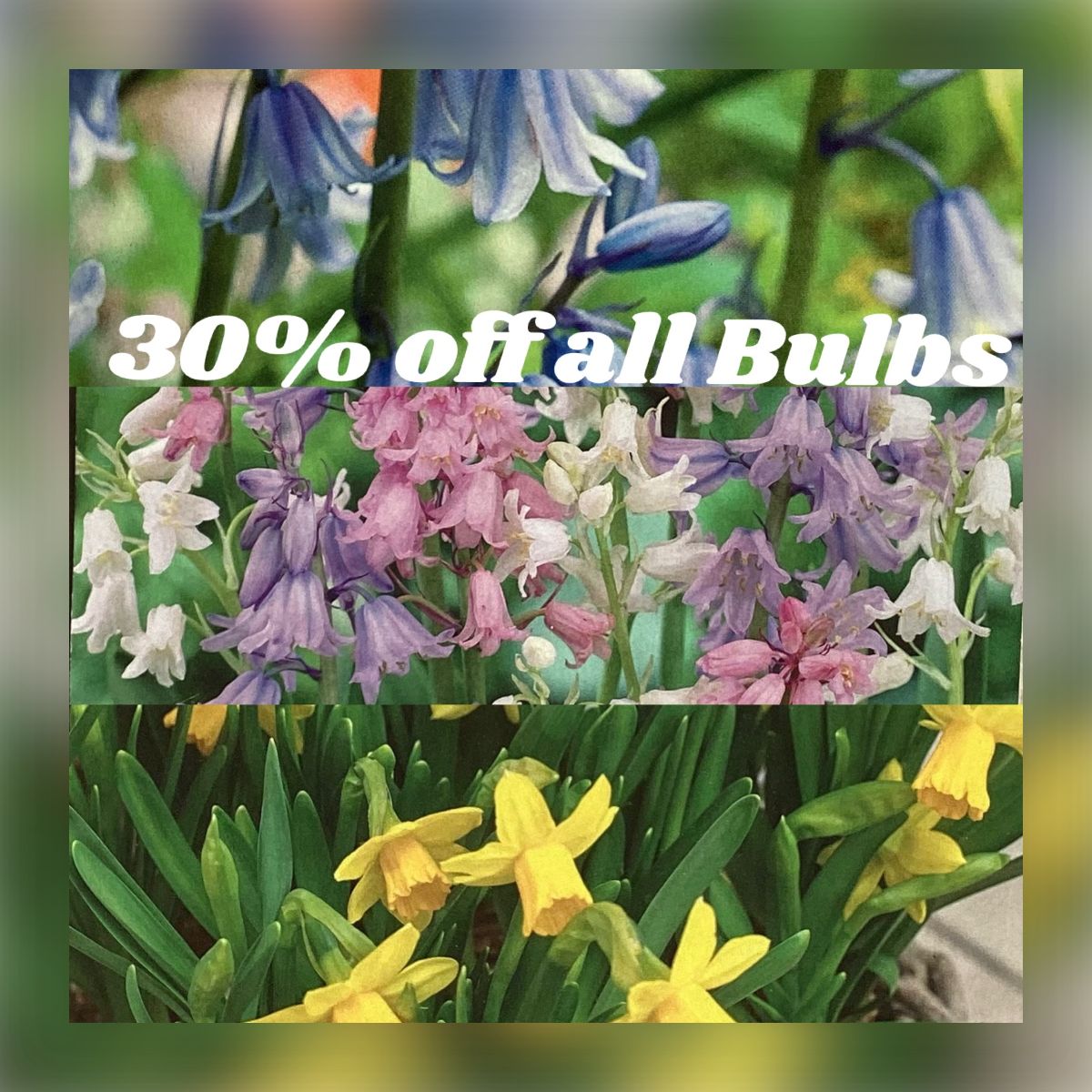 STOCKTAKE SALE LAST WEEKEND!