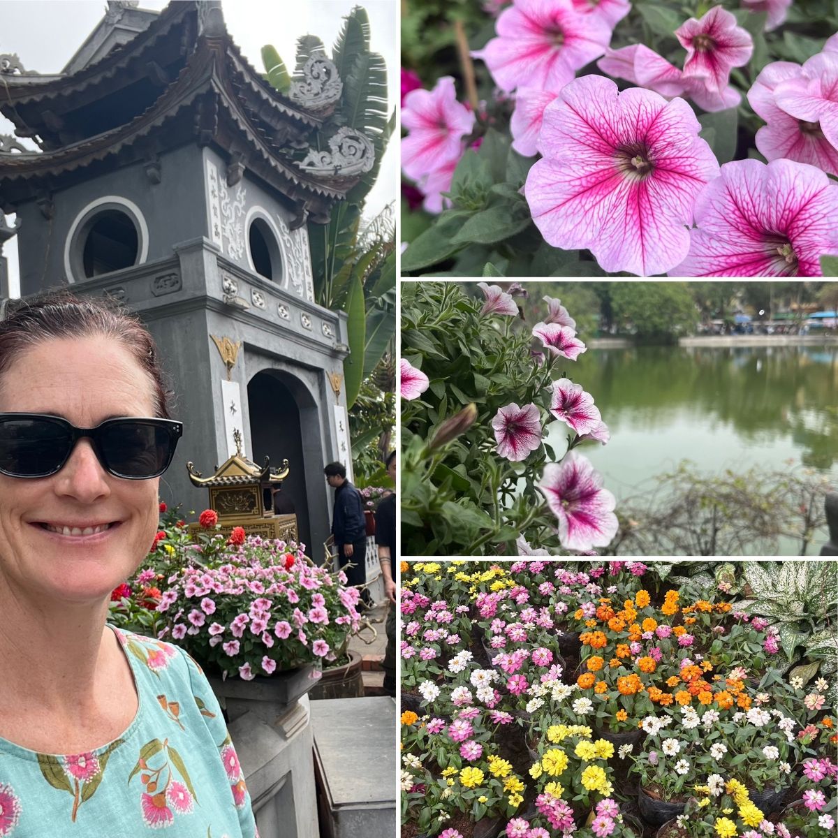 Thai Basil, Echinaceas AND Festival of Flowers!