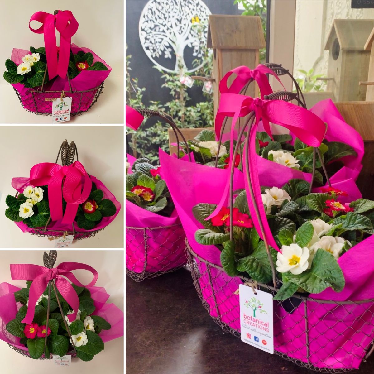 MOTHERS DAY GIFTS  Orchids, Candles & Pretty Primrose