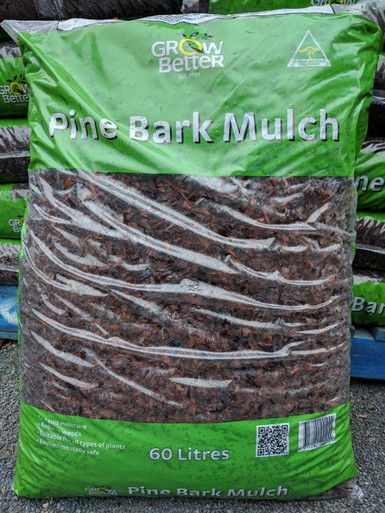 A Complete Guide On Pine Bark Mulch For Terrarium Use