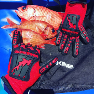 Dentex Gloves - Mahi Mahi Ahi Dentex Gloves - Mahi Mahi Ahi