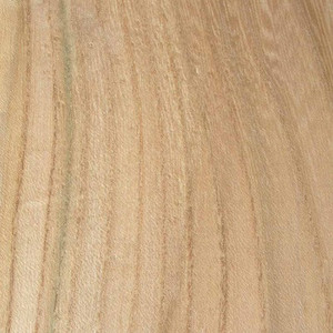 Ash, Grey Elm, Sugarberry Elm