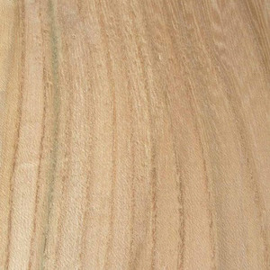 Ash, Grey Elm, Sugarberry Elm