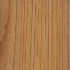 Red Elm