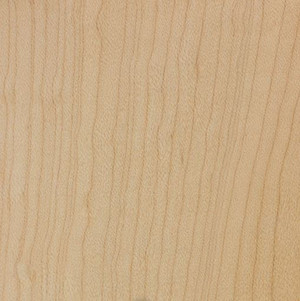 Hard Maple