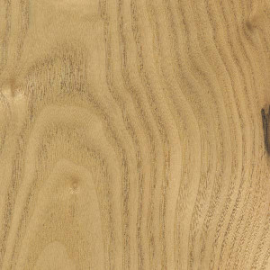 Sassafras is similar to ash and elm, but darkens from UV to a mid brown tone. Sassafras is similar to ash and elm, but darkens from UV to a mid brown tone.