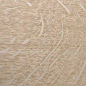 Showing the quarter sawn face in this image
