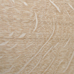 Showing the quarter sawn face in this image