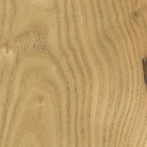 Sassafras is similar to ash and elm, but darkens from UV to a mid brown tone.