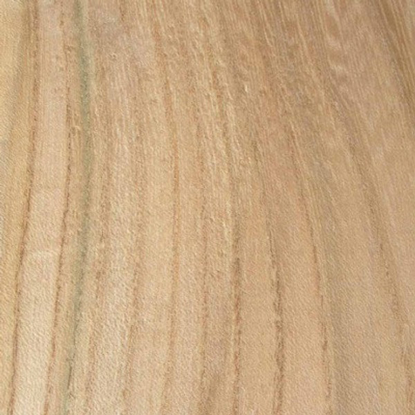 Ash, Grey Elm, Sugarberry Elm