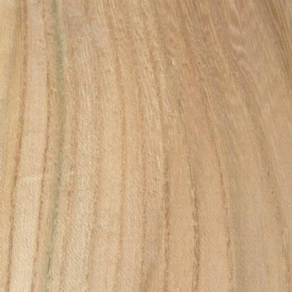 Ash, Grey Elm, Sugarberry Elm