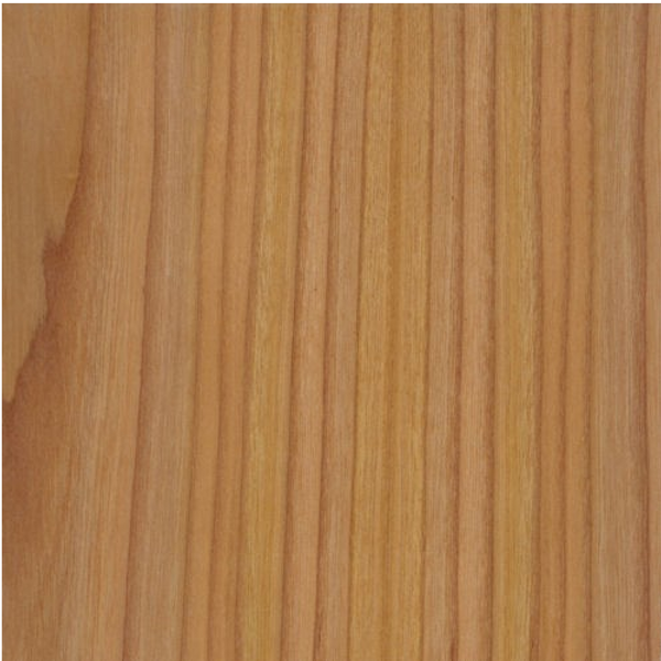 Red Elm