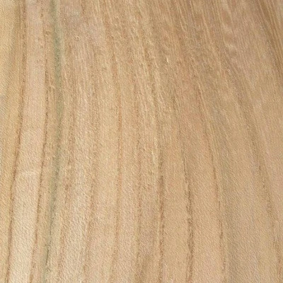 Ash, Grey Elm, Sugarberry Elm