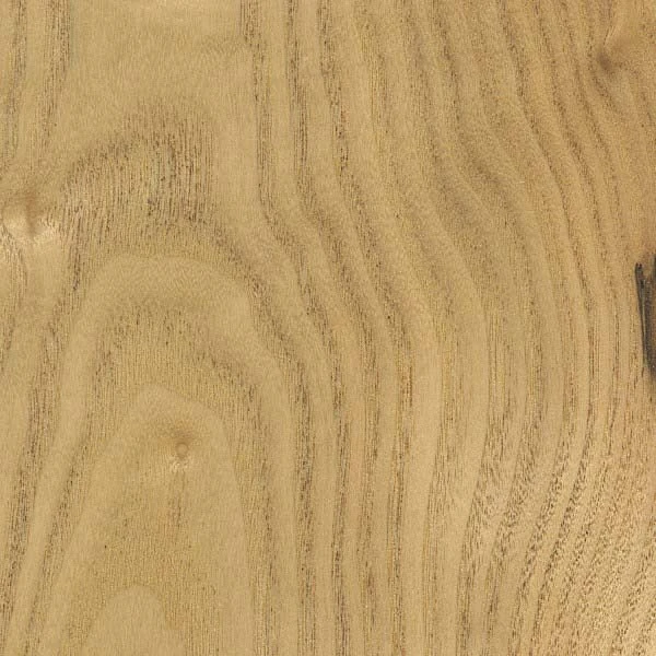 Sassafras is similar to ash and elm, but darkens from UV to a mid brown tone.