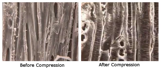 electron-micrograph-before-after.jpg