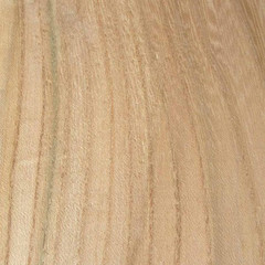 Ash, Grey Elm, Sugarberry Elm