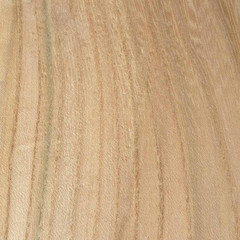 Ash, Grey Elm, Sugarberry Elm