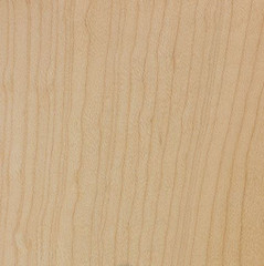 Hard Maple
