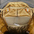 Mystery Ranch Coulee 30 Backpack Coriander Mystery Ranch Coulee 30 Backpack Coriander