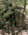 Eberlestock F4 Terminator Pack Multicam