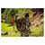 Alps Outdoorz Hybrid X Pack Realtree Excape hybrid in use Coyote Brown bow hunting Alps Outdoorz Hybrid X Pack Realtree Excape hybrid in use Coyote Brown bow hunting