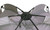 Catoma Falcon SpeeDome Shelter