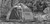 Catoma Falcon SpeeDome Shelter