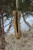 Clime And Place CWGS Intermediate Dexterous Gore-tex Glove USA Made Clime And Place CWGS Intermediate Dexterous Gore-tex Glove USA Made