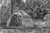 Catoma Raven Speedome Tent, Shelter Catoma Raven Speedome Tent, Shelter
