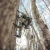 Lacrosse Men's Cold Snap II 9 inches Mossy Oak Country Roots 2000G