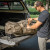 Eberlestock Hercules B3 Rolling Duffle 11,682 Cubic Inches Dry Earth On Truck Tail Gate Eberlestock Hercules B3 Rolling Duffle 11,682 Cubic Inches Dry Earth On Truck Tail Gate