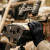 Outdoor Research Ironsight II LT Glove 322660