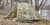 BAF Military Style 1 Person 3 Season Tent OCP BAF Military Style 1 Person 3 Season Tent OCP