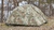 BAF Military Style 1 Person 3 Season Tent OCP BAF Military Style 1 Person 3 Season Tent OCP