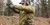 Viktos Alphadawn XP Jacket Insulated Jacket Coyote Viktos Alphadawn XP Jacket Insulated Jacket Coyote