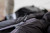 Klymit 0 Degree Full-Synthetic Sleeping Bag Black  Klymit 0 Degree Full-Synthetic Sleeping Bag Black
