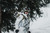 Outdoor Research Allies Colossus II Parka MultiCam Alpine_