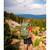 Kelty Asher 85 Backpack Winter Moss Dill Kelty Asher 85 Backpack Winter Moss Dill