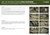 Snugpak Stratosphere Bivy Bag Olive (Set Up Instructions) Snugpak Stratosphere Bivy Bag Olive (Set Up Instructions)