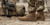 Viktos Armory AR670 Boot Dark Coyote Viktos Armory AR670 Boot Dark Coyote