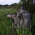 Eberlestock G3 Phantom Sniper Pack Multicam in field use no scabbard Eberlestock G3 Phantom Sniper Pack Multicam in field use no scabbard